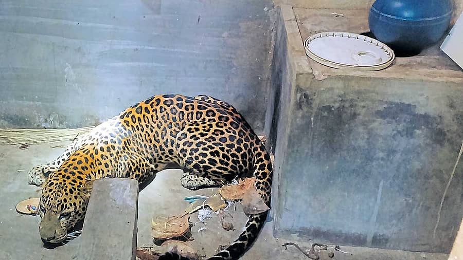 <div class="paragraphs"><p>ಸಾಂದರ್ಭಿಕ ಚಿತ್ರ</p></div>