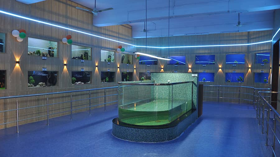 ವಿಜಯಪುರ ನಗರ ಡಾ.ಬಿ.ಆರ್‌.ಅಂಬೇಡ್ಕರ್‌ ಕ್ರೀಡಾಂಗಣದ ಬಳಿ ಇರುವ ಮೀನುಗಾರಿಕೆ ಇಲಾಖೆಯ ‘ಮುದ್ದು ಮೀನು ಸಂಗ್ರಹಾಲಯ’ದ ಒಳನೋಟ–ಪ್ರಜಾವಾಣಿ ಚಿತ್ರ: ಸಂಜೀವ ಅಕ್ಕಿ