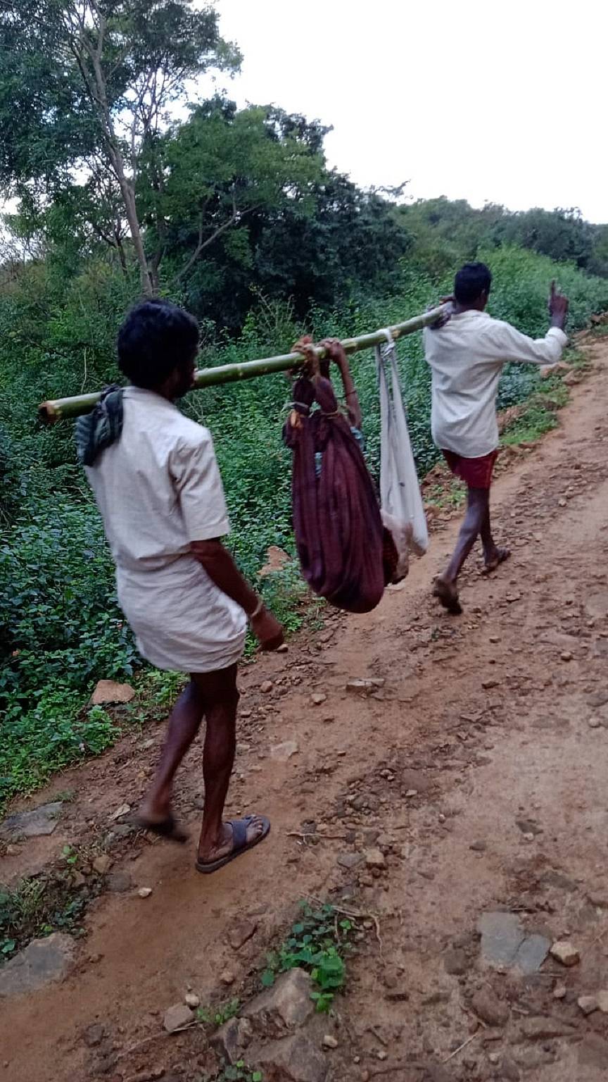 ಮಹದೇಶ್ವರ ಬೆಟ್ಟದ ಅರಣ್ಯದಲ್ಲಿರುವ ಗ್ರಾಮಗಳ ನಿವಾಸಿಗಳು ಗಂಭೀರ ಅನಾರೋಗ್ಯಕ್ಕೆ ತುತ್ತಾದರೆ ಡೋಲಿ ಮೂಲಕ ಸಾಗಿಸಬೇಕಾದ ಪರಿಸ್ಥಿತಿ ಈಗಲೂ ಇದೆ (ಸಂಗ್ರಹ ಚಿತ್ರ)