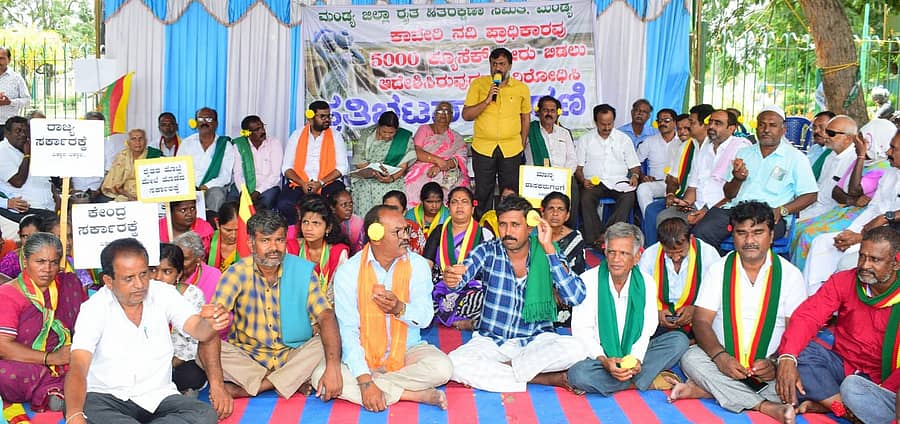 ತಮಿಳುನಾಡಿಗೆ ಕಾವೇರಿ ನೀರು ಹರಿಸುತ್ತಿರುವುದನ್ನು ಖಂಡಿಸಿ ಜಿಲ್ಲಾ ರೈತ ಹಿತರಕ್ಷಣಾ ಸಮಿತಿ ನಡೆಸುತ್ತಿರುವ ಹೋರಾಟಕ್ಕೆ ಬೆಂಬಲಿಸಿ ಜನತಾ ಶಿಕ್ಷಣ ಟ್ರಸ್ಟ್ ಅಧ್ಯಕ್ಷ ಕೆ.ಎಸ್.ವಿಜಯ್ ಆನಂದ್ ಮಾತನಾಡಿದರು