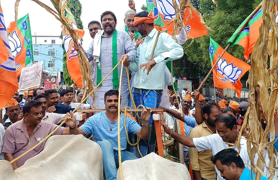 ಕಾಂಗ್ರೆಸ್ ಸರ್ಕಾರದ ರೈತ ವಿರೋಧಿ ನಿಲುವುಗಳ ನ್ನು ವಿರೋಧಿಸಿ ತಾಲ್ಲೂಕು ಬಿಜೆಪಿ ರೈತ ಮೋರ್ಚಾದ ವತಿಯಿಂದ ಪಟ್ಟಣದಲ್ಲಿ ನಡೆದ ಬೃಹತ್ ಪ್ರತಿಭಟನಾ ರ್ಯಾಲಿಯಲ್ಲಿ ಮಾಜಿ ಕೃಷಿ ಸಚಿವ ಬಿ.ಸಿ.ಪಾಟೀಲ ಚಕ್ಕಡಿ ಏರಿ ತಹಶೀಲ್ದಾರ್ ಕಚೇರಿವರೆಗೆ ಹೋದರು