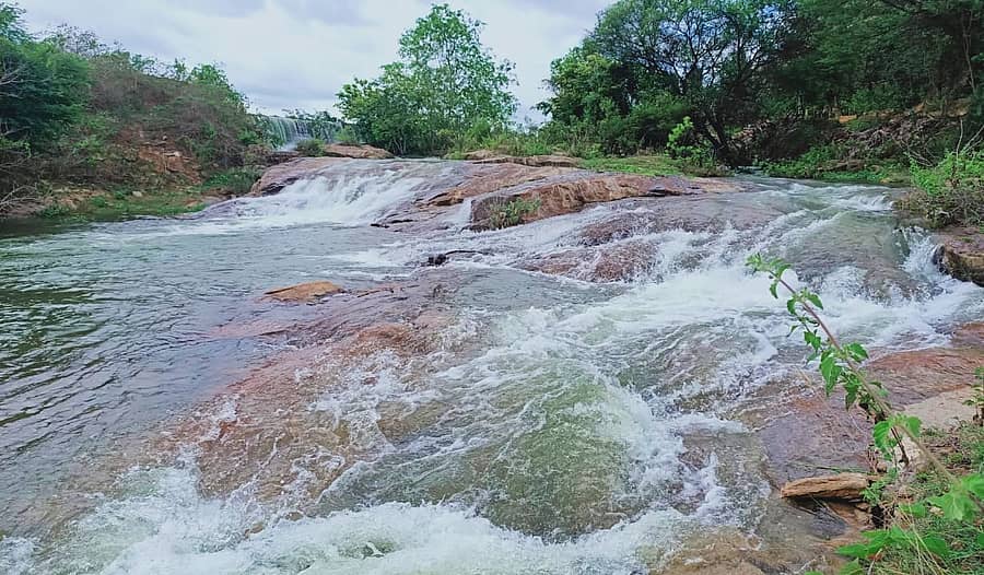 <div class="paragraphs"><p>ನಾಗಮಂಗಲ ತಾಲ್ಲೂಕಿನ ಸಾಮಕಹಳ್ಳಿ ಗ್ರಾಮದ ವ್ಯಾಪ್ತಿಯಲ್ಲಿರುವ ಜಾರನಕಟ್ಟೆಯು ಹೇಮಾವತಿ ಜಲಾಶಯದಿಂದ ನೀರು ಹರಿಸಿದ ಹಿನ್ನೆಲೆಯಲ್ಲಿ ತುಂಬಿ ಹರಿಯುತ್ತಿರುವುದು</p></div>