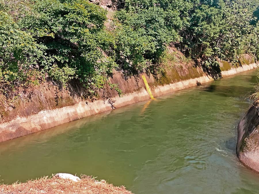 ಹೇಮಾವತಿ ನಾಲೆಯಲ್ಲಿ ಹರಿಯುತ್ತಿರುವ ನೀರು.