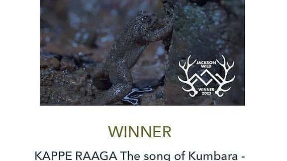 <div class="paragraphs"><p>ಪ್ರಶಾಂತ ಎಸ್ ನಾಯಕ ಅವರ ಎಕ್ಸ್ ಖಾತೆ ಚಿತ್ರ</p></div>