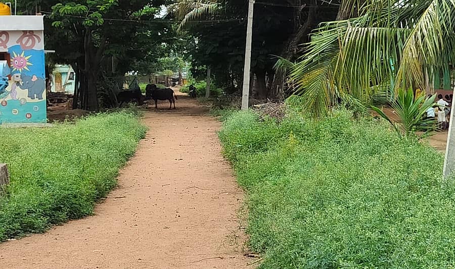 ರಸ್ತೆ ಪಕ್ಕ ಚರಂಡಿ ಇಲ್ಲದೆ ರಸ್ತೆ ನಿರ್ಮಾಣ 