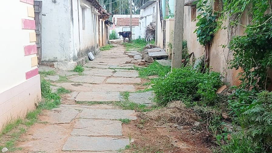 ಸಂಸದರ ಆದರ್ಶ ಗ್ರಾಮ ಯೋಜನೆಯಡಿ ಆಯ್ಕೆಯಾಗಿರುವ ಕೊರಟಗೆರೆ ತಾಲ್ಲೂಕಿನ ಕುರಂಕೋಟೆ ಗ್ರಾಮದ ರಸ್ತೆ