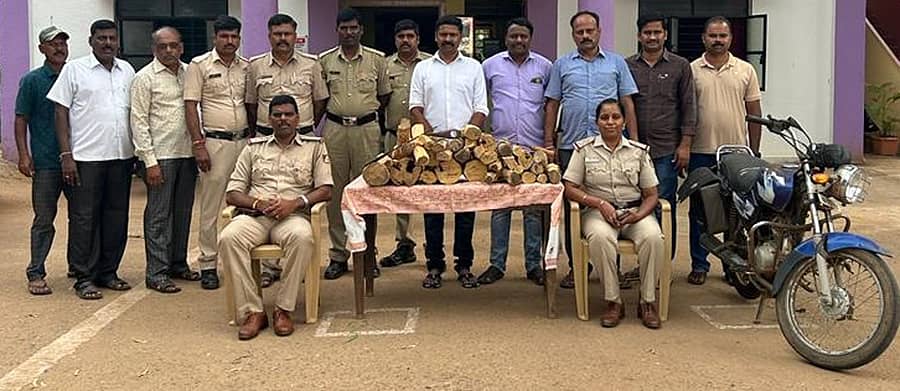 ಸಂತೇಬೆನ್ನೂರು ಪೊಲೀಸ್ ಠಾಣೆಯಲ್ಲಿ ಶನಿವಾರ ಮೂವರು ಶ್ರೀಗಂಧ ಕಳ್ಳರನ್ನು ಬಂಧಿಸಿ ಶ್ರೀಗಂಧ ವಶಪಡಿಸಿಕೊಂಡ ಪೊಲೀಸರ ತಂಡ