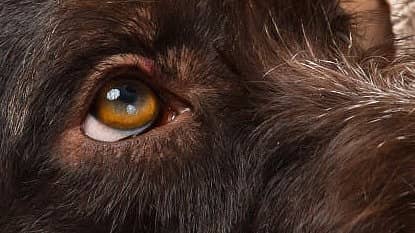 <div class="paragraphs"><p>ಐಸ್ಟಾಕ್ ಚಿತ್ರ</p></div>