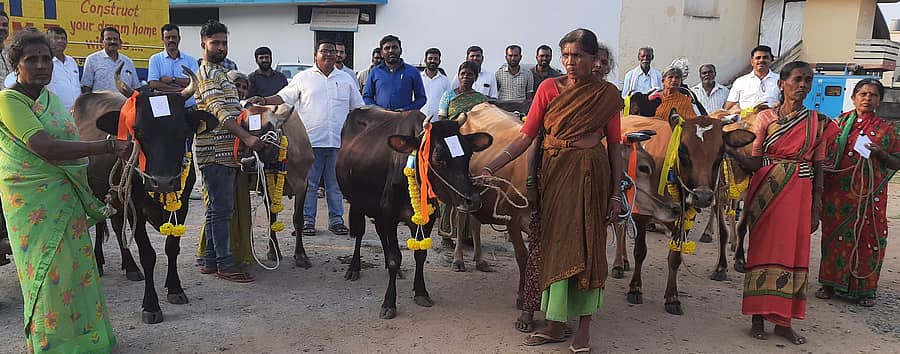 ಮಾಗಡಿ ರೋಟರಿ ಸಂಸ್ಥೆಯಿಂದ ರೈತ ಮಹಿಳೆಯರಿಗೆ ಉಚಿತವಾಗಿ ಹಸುಗಳನ್ನು ಡಾ.ಪ್ರಕಾಶ್‌ಕುಮಾರ್‌ ವಿತರಿಸಿದರು. ಪ್ರಭಾಕರ್‌,ಪ್ರೊ.ಕೆ.ಸಿ.ಜಯರಾಮ್‌, ನರಸಿಂಹಮೂರ್ತಿ, ಡಾ.ಮಲ್ಲಿನಾಥ್‌, ಡಾ.ಲೋಕೇಶ್‌, ಡಾ.ಮಂಜುನಾಥ್‌, ಸುಲ್ತಾನಬಾಬಾ ಇದ್ದರು.