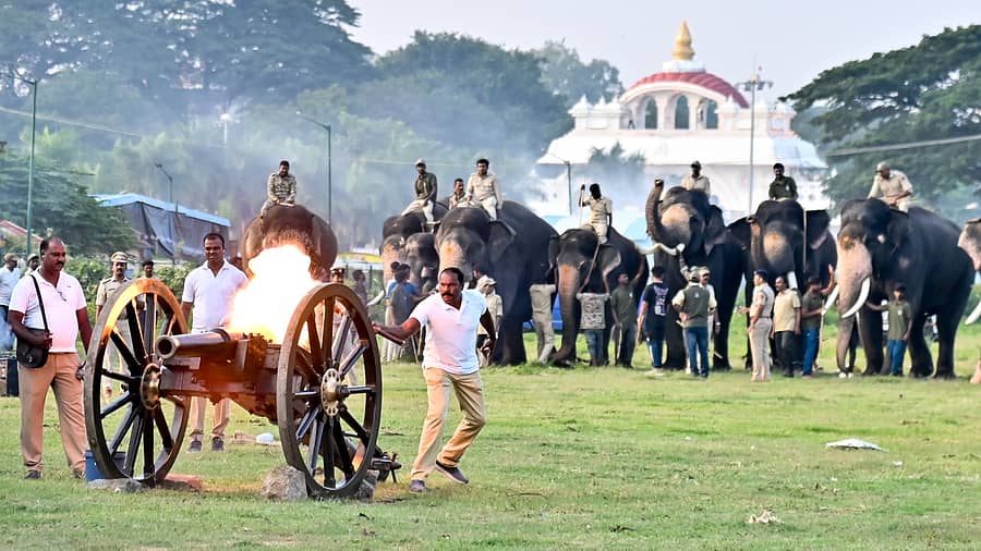 ಮೈಸೂರಿನ ದಸರಾ ವಸ್ತುಪ್ರದರ್ಶನ ಆವರಣದಲ್ಲಿ ಶುಕ್ರವಾರ ನಡೆದ ಎರಡನೆಯ ಕುಶಾಲತೋ‍‍ಪು ತಾಲೀಮಿನಲ್ಲಿ ಸಿಡಿಮದ್ದಿಗೆ ಬೆದರದ ಗಜಪಡೆಯ ಆತ್ಮವಿಶ್ವಾಸ –ಪ್ರಜಾವಾಣಿ ಚಿತ್ರ/ಅನೂಪ್ ರಾಘ.ಟಿ.