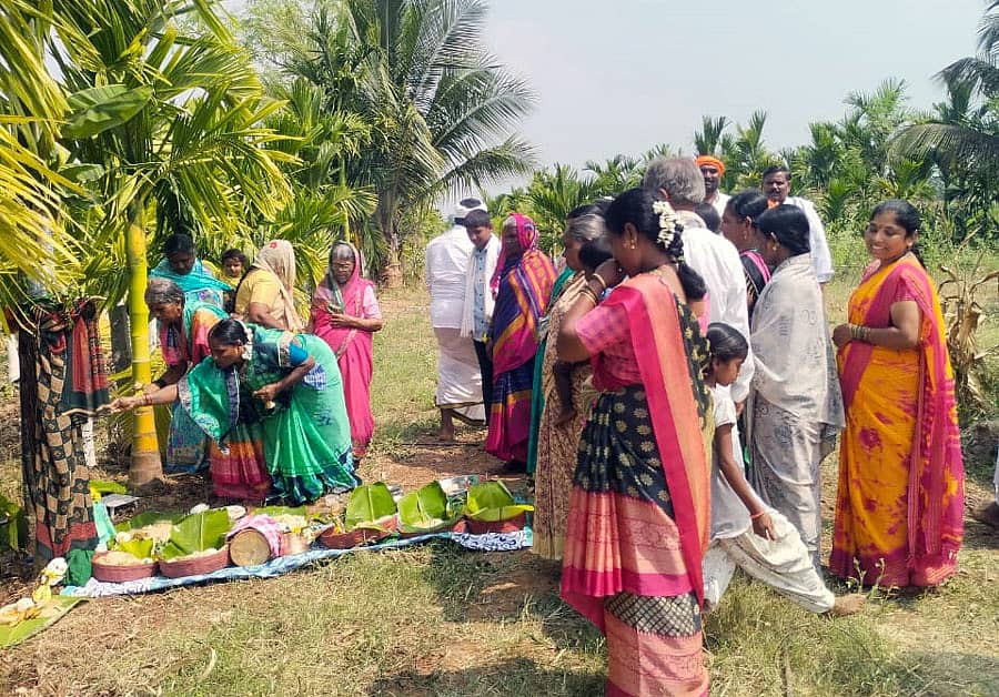 ಭೂಮಿ ಹುಣ್ಣಿಮೆ ಅಂಗವಾಗಿ ಮಲೇಬೆನ್ನೂರು ಹೊರವಲಯದಲ್ಲಿರುವ ತೋಟವೊಂದರಲ್ಲಿ ಶನಿವಾರ ಪೂಜೆಯಲ್ಲಿ ನಿರತ ಕುಟುಂಬ