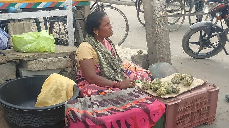 ಸೀತಾಫಲ ಹಣ್ಣು ಮಾರಾಟ ಮಾಡುತ್ತಿರುವ ಮಹಿಳೆ