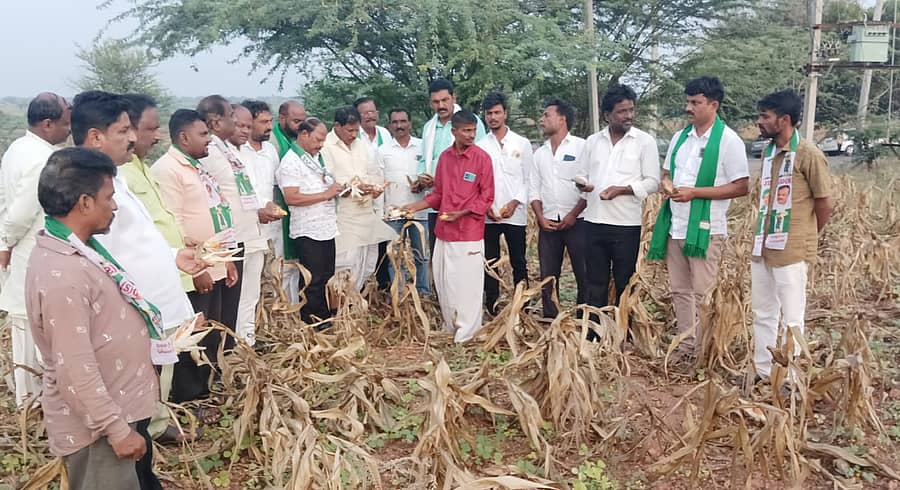 ಜೆಡಿಎಸ್ ಮುಖಂಡ ಅಲ್ಕೋಡ್ ಹನುಮಂತಪ್ಪ ಹಾಗೂ ಮತ್ತಿತರರು ಮುಂಡರಗಿ ತಾಲ್ಲೂಕಿನ ಬೆಣ್ಣಿಹಳ್ಳಿ ಗ್ರಾಮದ ರೈತರ ಜಮೀನುಗಳಿಗೆ ತೆರಳಿ ಬೆಳೆಹಾನಿ ವೀಕ್ಷಿಸಿದರು