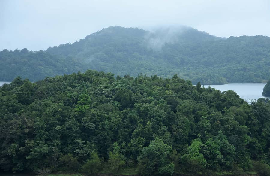 ಪಶ್ಚಿಮಘಟ್ಟ