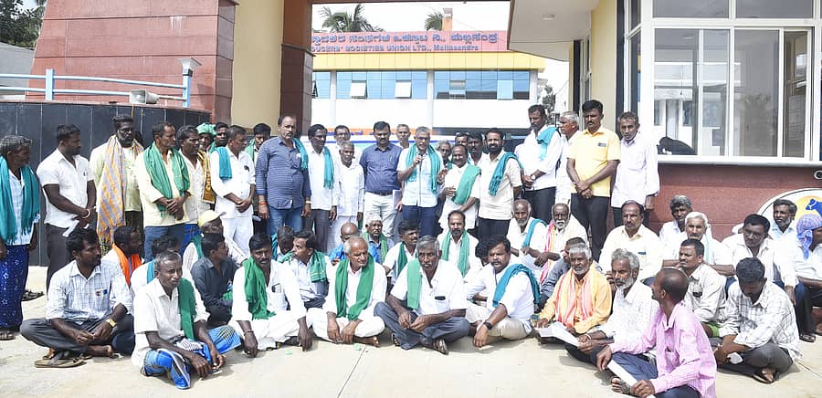 ತುಮಕೂರು ತಾಲ್ಲೂಕಿನ ಮಲ್ಲಸಂದ್ರದ ತುಮುಲ್ ಕಚೇರಿ ಎದುರು ಮಂಗಳವಾರ ರಾಜ್ಯ ರೈತ ಸಂಘದ ನೇತೃತ್ವದಲ್ಲಿ ರೈತರು ಪ್ರತಿಭಟನೆ ನಡೆಸಿದರು. ಮುಖಂಡರಾದ ಕೋಡಿಹಳ್ಳಿ ಚಂದ್ರಶೇಖರ್, ಕೆಂಕೆರೆ ಸತೀಶ್, ಕೆ.ಎಸ್.ಧನಂಜಯ ಆರಾಧ್ಯ ಇತರರು ಭಾಗವಹಿಸಿದ್ದರು
