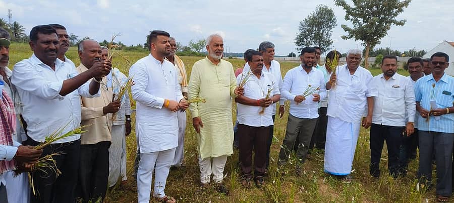 ಚನ್ನರಾಯಪಟ್ಟಣ ತಾಲ್ಲೂಕಿನ ಗೌಡಗೆರೆಯಲ್ಲಿ ಜೆಡಿಎಸ್ ನಾಯಕರು ಬರ ವೀಕ್ಷಣೆ ಮಾಡಿದರು.