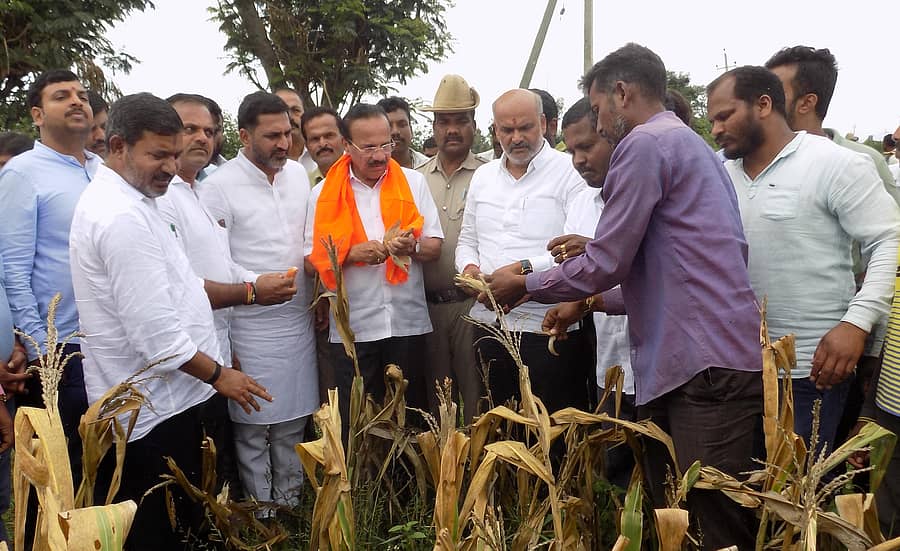 ಹಳೇಬೀಡು ಸಮೀಪದ ದೊಡ್ಡಕೋಡಿಹಳ್ಳಿಯಲ್ಲಿ ಬುಧವಾರ ಸಂಸದ ಸದಾನಂದ ಗೌಡ ಅವರಿಗೆ ಜೊಳ್ಳಾದ ಜೋಳದ ಫಸಲು ತೋರಿಸಿದರು. ಶಾಸಕರಾದ ಎಚ್.ಕೆ.ಸುರೇಶ್, ಸಿಮೆಂಟ್‌ ಮಂಜು, ಮಾಜಿ ಶಾಸಕ ಪ್ರಿತಂಗೌಡ, ಬೇಲೂರು ಮಂಡಲ ಬಿಜೆಪಿ ಅಧ್ಯಕ್ಷ ಎ.ಎಸ್.ಆನಂದ್ ಕುಮಾರ್ ಇದ್ದರು