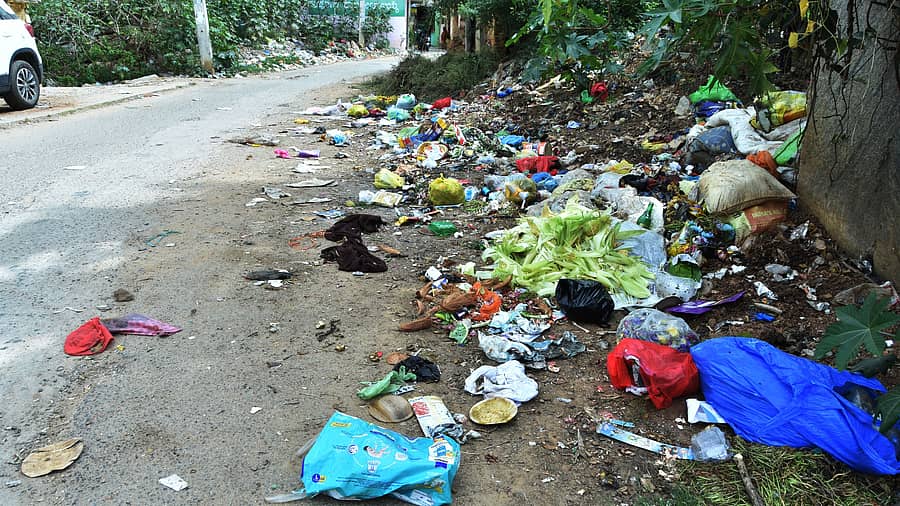 <div class="paragraphs"><p>ಚಿಕ್ಕಬಳ್ಳಾಪುರದ ದೊಡ್ಡ ಮಸೀದಿ ರಸ್ತೆಯಿಂದ ಸಾಧು ಮಠಕ್ಕೆ ಹೋಗುವ ರಸ್ತೆಯಲ್ಲಿ ಕಸ&nbsp;&nbsp;</p></div>