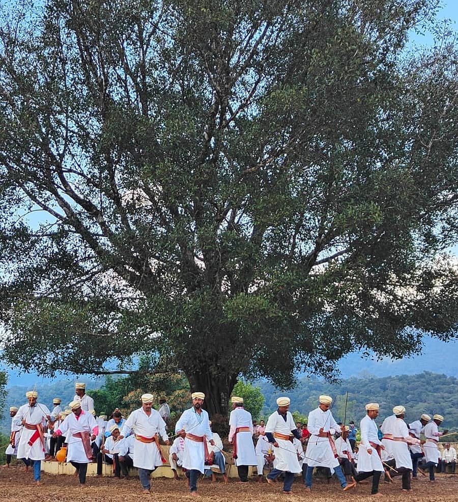 ಭಾಗಮಂಡಲದ ಕಾವೇರಿ ಕೋಲ್ ಮಂದ್ ನಲ್ಲಿ ಮಂಗಳವಾರ ನಾಲ್ಕು ಗ್ರಾಮದವರಿಂದ ಹುತ್ತರಿಕೋಲಾಟ ಸಂಭ್ರಮದಿಂದ ನಡೆಯಿತು