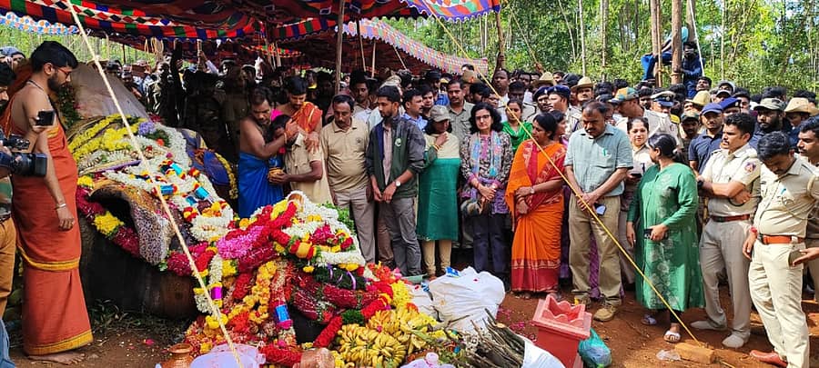 ಅಂತಿಮ ವಿಧಿವಿಧಾನ ನೆರವೇರಿಸಿದ ಮಾವುತ ವಿನುವನ್ನು ಅರ್ಚಕ ಪ್ರಹ್ಲಾದ್ ಸಂತೈಸಿದರು. ಆನೆ ಯೋಜನೆಯ ಪ್ರಧಾನ ಮುಖ್ಯ ಅರಣ್ಯ ಸಂರಕ್ಷಣಾಧಿಕಾರಿ ಶಾಶ್ವತಿ ಮಿಶ್ರ, ಜಿಲ್ಲಾಧಿಕಾರಿ ಸಿ. ಸತ್ಯಭಾಮಾ, ಮುಖ್ಯ ಅರಣ್ಯ ಸಂರಕ್ಷಣಾಧಿಕಾರಿ ಶಿವಶಂಕರ್, ಪೊಲೀಸ್ ವರಿಷ್ಠಾಧಿಕಾರಿ ಮೊಹಮ್ಮದ್ ಸುಜೀತಾ, ಡಿಎಫ್ಒ ಮೋಹನ್ ಕುಮಾರ್, ಉಪ ವಿಭಾಗಾಧಿಕಾರಿ ಶ್ರುತಿ ಪಾಲ್ಗೊಂಡಿದ್ದರು