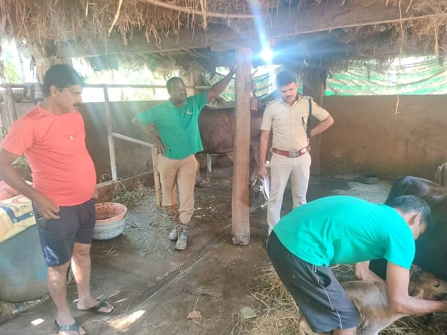 ಅಂಕೋಲಾ ತಾಲ್ಲೂಕಿನ ಹೆಗ್ಗಾರ ಗ್ರಾಮದಲ್ಲಿ ಚಿರತೆ ದಾಳಿ ನಡೆಸಿದ ಸ್ಥಳವನ್ನು ಅರಣ್ಯ ಇಲಾಖೆ ಸಿಬ್ಬಂದಿ ಪರಿಶೀಲಿಸಿದರು