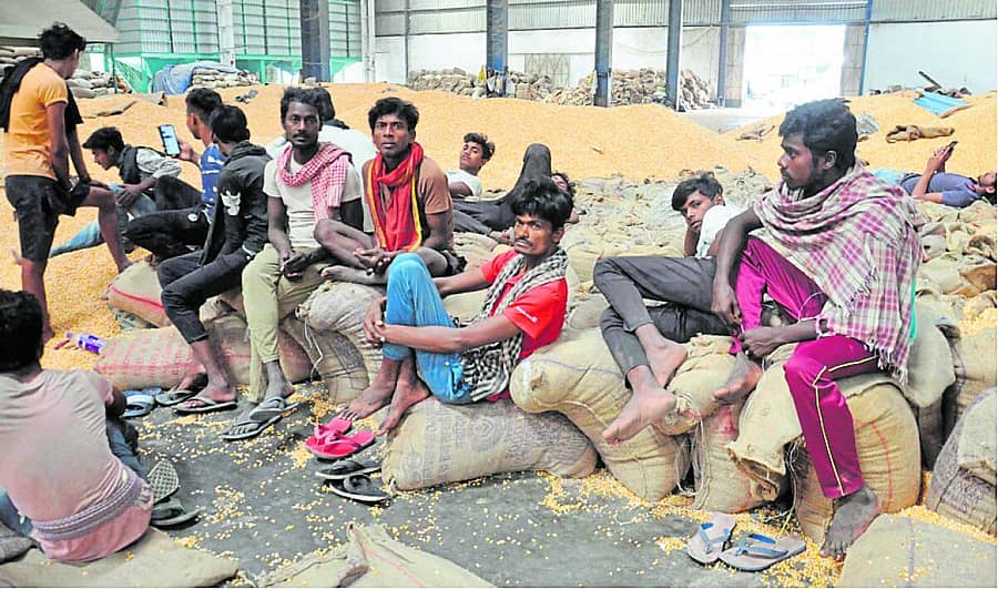 <div class="paragraphs"><p>ವಿಜಯಪುರದಲ್ಲಿ ಗೋದಾಮು ದುರ್ಘಟನೆಯಲ್ಲಿ ಸಿಲುಕಿದವರ ರಕ್ಷಣೆಗಾಗಿ ನಡೆದ ಕಾರ್ಯಾಚರಣೆ ನೋಡುತ್ತಾ ಕೂತಿದ್ದ ಬಿಹಾರದ ಕೂಲಿಕಾರ್ಮಿಕರು</p></div>