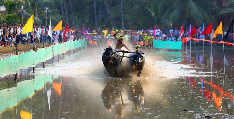 <div class="paragraphs"><p>ಸಾಂದರ್ಭಿಕ ಚಿತ್ರ</p></div>