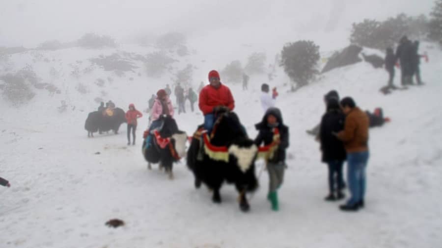 <div class="paragraphs"><p>ಪ್ರಾತಿನಿಧಿಕ ಚಿತ್ರ</p></div>