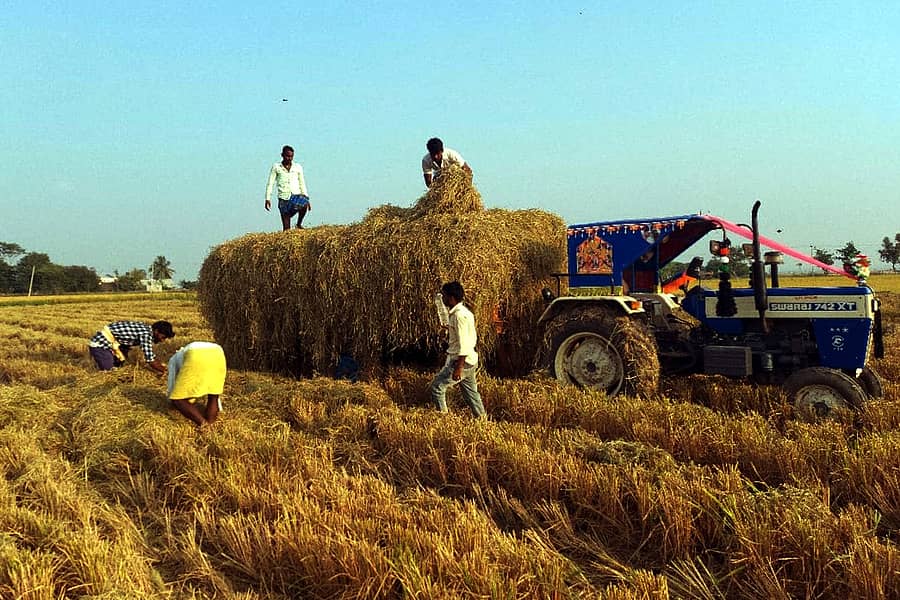 ಹುಣಸಗಿ ತಾಲ್ಲೂಕಿನ ಮುದನೂರು ಗ್ರಾಮದಲ್ಲಿ ಭತ್ತದ ಹುಲ್ಲನ್ನು ರೈತರು ಟ್ರ್ಯಾಕ್ಟರ್ನಲ್ಲಿ ತುಂಬುತ್ತಿರುವುದು