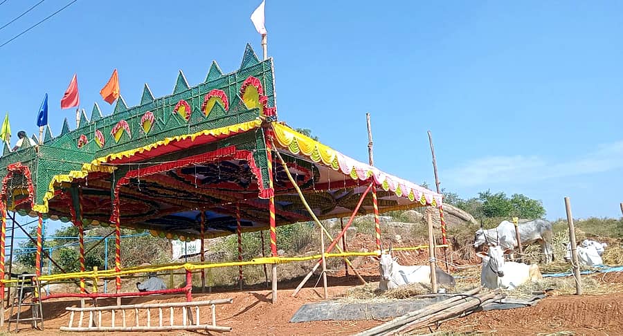 ದೊಡ್ಡಬಳ್ಳಾಪುರ ತಾಲ್ಲೂಕಿನ ಘಾಟಿ ಸುಬ್ರಹ್ಮಣ್ಯ ದನಗಳ ಜಾತ್ರೆಯಲ್ಲಿ ನಿರ್ಮಿಸಲಾಗಿರುವ ಪೆಂಡಾಲ್ಗಳು