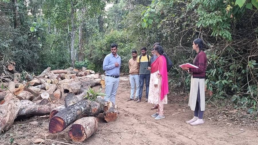 ಹಾಸನ ಜಿಲ್ಲೆಯ ಬೇಲೂರು ತಾಲ್ಲೂಕಿನ ನಂದಗೋಡನಹಳ್ಳಿಗೆ ಡಿ.17ರಂದು ಭೇಟಿ ನೀಡಿದ್ದ ತಹಶೀಲ್ದಾರ್ ಮಮತಾ ಕಡಿಯಲಾಗಿರುವ ಮರಗಳನ್ನು ಪರಿಶೀಲಿಸಿದರು