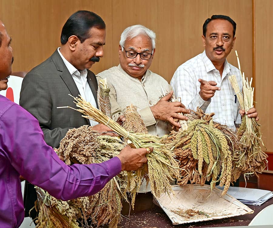 ವಿಶ್ವ ಸರಿಧಾನ್ಯಗಳ ಮೇಳದ ಅಂಗವಾಗಿ ನಗರದಲ್ಲಿ ಗುರುವಾರ ನಡೆದ ಸುದ್ದಿಗೋಷ್ಠಿಯಲ್ಲಿ ವಿವಿಧ ತಳಿಯ ಸಿರಿಧಾನ್ಯಗಳನ್ನು ಪ್ರದರ್ಶಿಸಲಾಯಿತು. (ಎಡದಿಂದ) ಬಿ.ಬೋರಯ್ಯ, ಎಸ್.ವಿ. ಸುರೇಶ್, ರಂಗನಾಥ್ ಪ್ರಸಾದ್ ಮತ್ತು ಉದಯ ಕುಮಾರ ಕೊಳ್ಳಿಮಠ, ನಾಗರಾಜ ಟಿ. ಈ., ಪಾಲ್ಗೊಂಡಿದ್ದರು. –ಪ್ರಜಾವಾಣಿ ಚಿತ್ರ/ರಂಜು