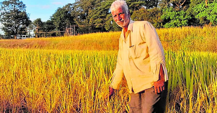 <div class="paragraphs"><p>ಗುತ್ತಿಗೆ ಪಡೆದ ಭೂಮಿಯಲ್ಲಿ ಸಮೃದ್ಧ ಭತ್ತದ ಬೆಳೆಯನ್ನು ವೀಕ್ಷಿಸುತ್ತಿರುವ ಚಂದ್ರಣ್ಣ</p></div>