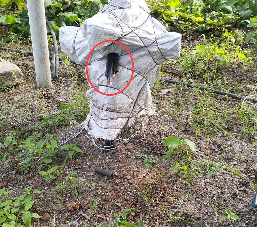 ಮುಳಬಾಗಿಲು ತಾಲ್ಲೂಕಿನ ಯಲುವಹಳ್ಳಿ ಗ್ರಾಮದ ರೈತರೊಬ್ಬರ ಕೊಳವೆ ಬಾವಿಗೆ ಅಳವಡಿಸಲಾಗಿದ್ದ ವಿದ್ಯುತ್ ಕೇಬಲ್ ಕತ್ತರಿಸಿಕೊಂಡು ಹೋಗಿರುವುದು