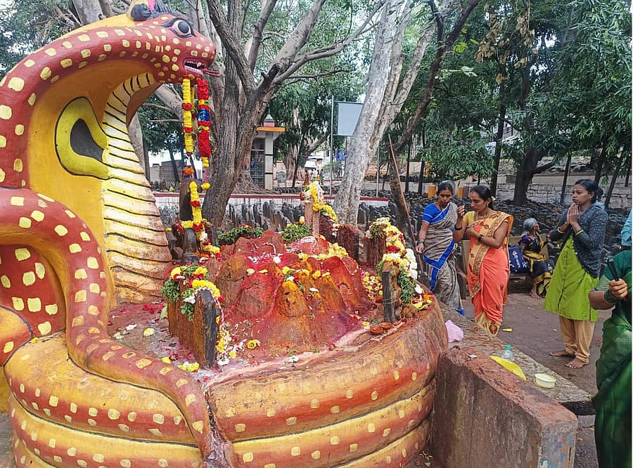 <div class="paragraphs"><p>ದೊಡ್ಡಬಳ್ಳಾಪುರ ತಾಲ್ಲೂಕಿನ ಘಾಟಿಯಲ್ಲಿ ಚಂಪಾಷಷ್ಠಿ ಅಂಗವಾಗಿ ಸೋಮವಾರ ಅಶ್ವತ್ಥಕಟ್ಟೆ ಸಮೀಪದ ನಾಗರವಿಗ್ರಹಕ್ಕೆ ಭಕ್ತರು ಪೂಜೆ ಸಲ್ಲಿಸಿದರು</p></div>