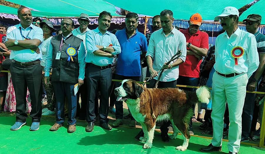 ಗೋಣಿಕೊಪ್ಪಲಿನಲ್ಲಿ ಮಂಗಳವಾರ ನಡೆದ ಶ್ವಾನ ಪ್ರದರ್ಶನದಲ್ಲಿ ಶಾಸಕ ಪೊನ್ನಣ್ಣ ಶ್ವಾನ ಒಂದನ್ನು ಹಿಡಿಯುವ ಮೂಲಕ ಶ್ವಾನ ಪ್ರದರ್ಶನ ಉದ್ಘಾಟಿಸಿದರು. ಕೆ.ಎಂ.ಅಪ್ಪಯ್ಯ, ಕುಪ್ಪಂಡ ಅಶೋಕ್ ಅಪ್ಪಣ್ಣ, ಡಾ.ಕೆ.ಎನ್.ಬಸವರಾಜ್, ಡಾ.ಕೆ.ಪಿ.ಅಯ್ಯಪ್ಪ ಪಾಲ್ಗೊಂಡಿದ್ದರು.