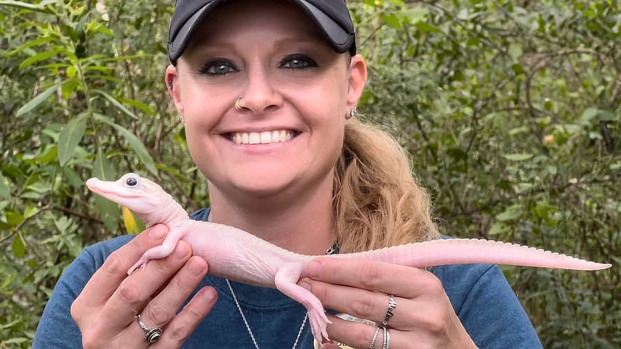 <div class="paragraphs"><p>ವಿರಳಾತಿವಿರಳಮೊಸಳೆಯೊಂದಿಗೆ ಪಾರ್ಕ್ ಸಿಬ್ಬಂದಿ</p></div>