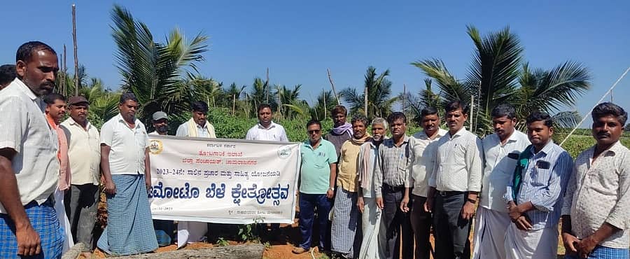 ಕೃಷಿ ವಿಜ್ಞಾನ ಕೇಂದ್ರದ ವತಿಯಿಂದ ಚಾಮರಾಜನಗರದ ಮೇಲಾಜಿಪುರ ಗ್ರಾಮದಲ್ಲಿ ಟೊಮೆಟೊ ಕ್ಷೇತ್ರೋತ್ಸವ ನಡೆಯಿತು