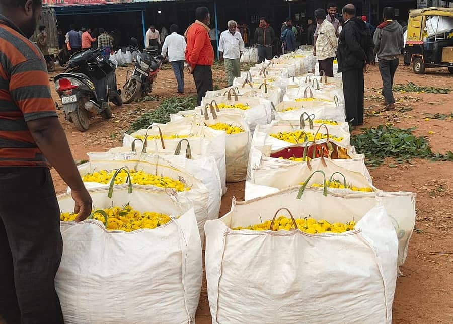 ಹೊಸಕೋಟೆ ನಗರದಲ್ಲಿ ಇರುವ ಖಾಸಗಿ ಹೂವಿನ ಮಾರುಕಟ್ಟೆಯಲ್ಲಿ ಹೂ ಮಾರಲು ನಿಂತಿರುವ ರೈತರು