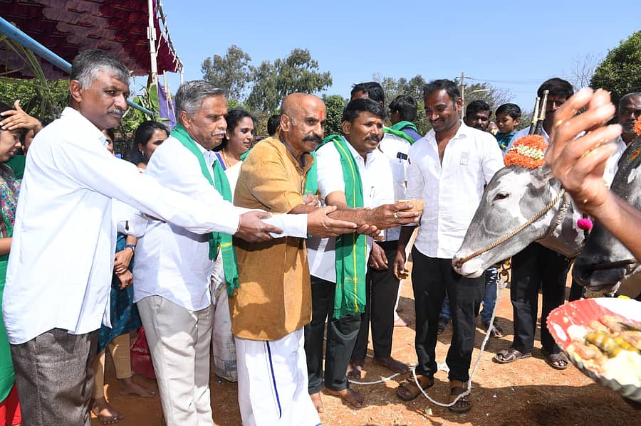 ಆನೇಕಲ್ ತಾಲ್ಲೂಕಿನ ಚಂದಾಪುರ ಸೂರ್ಯಸಿಟಿಯಲ್ಲಿ ಕರ್ನಾಟಕ ಪ್ರದೇಶ ಭಾರತೀಯ ಕಿಸಾನ್ ಸಂಘ ಹಮ್ಮಿಕೊಂಡಿದ್ದ ಸುಗ್ಗಿ ಹಬ್ಬವನ್ನು ಗೋಪೂಜೆ ಮೂಲಕ ಉದ್ಘಾಟಿಸಲಾಯಿತು