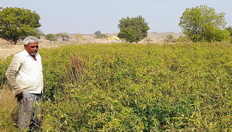 ನಿವಾಳಖೇಡ ಗ್ರಾಮದ ತಮ್ಮ ಜಮೀನಿನಲ್ಲಿ ತೊಗರಿ ಬೆಳೆಯಲ್ಲಿ ಕಾಯಿಯನ್ನು ವೀಕ್ಷಿಸುತಿರುವ ರೈತ ಚನ್ನಪ್ಪ ಕಾರಜೋಳ