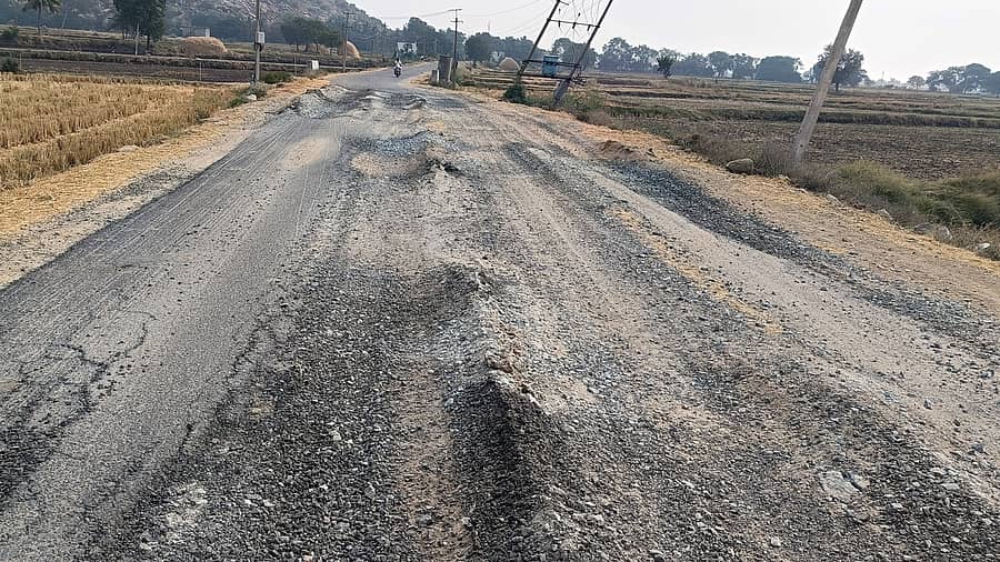 ಕವಿತಾಳ ಸಮೀಪದ ಮಲ್ಲದಗುಡ್ಡ ತೋರಣದಿನ್ನಿ ರಸ್ತೆ ಹಾಳಾಗಿರುವುದು.