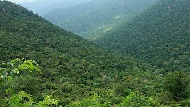 <div class="paragraphs"><p>ಪ್ರಾತಿನಿಧಿಕ ಚಿತ್ರ</p></div>