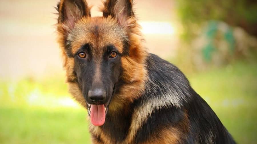 <div class="paragraphs"><p>ಪ್ರಾತಿನಿಧಿಕ ಚಿತ್ರ</p></div>