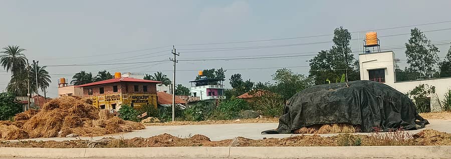 ಕೊಯ್ಲು ಮಾಡಿದ್ದ ಭತ್ತವನ್ನು ಸಿಮೆಂಟ್ ರಸ್ತೆ ಮೇಲೆ ಹಾಕಲಾಗಿತ್ತು. ಅಕಾಲಿಕ ಮಳೆಯಿಂದ ಒಕ್ಕಲಾಟ ಮಾಡಲು ಸಾಧ್ಯವಾಗುತ್ತಿಲ್ಲ