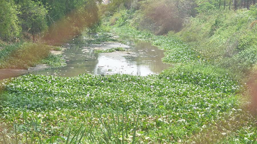 <div class="paragraphs"><p>ಕೋಲಾರ ನಗರದಲ್ಲಿ ಕಾಲುವೆ ಮೂಲಕ ಕೋಲಾರಮ್ಮ ಕೆರೆಗೆ ಹರಿಯುತ್ತಿರುವ ಕೊಳಚೆ ನೀರು (ಎಡಚಿತ್ರ), ಕೋಲಾರ ನಗರದ ತಾಲ್ಲೂಕು ಪಂಚಾಯಿತಿ ಬಳಿ ರಾಜಕಾಲುವೆ ಪರಿಸ್ಥಿತಿ</p></div><div class="paragraphs"><p></p></div>