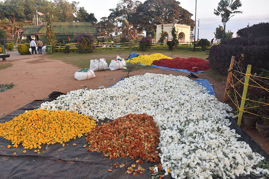 ಮಡಿಕೇರಿಯ ರಾಜಾಸೀಟ್ ಉದ್ಯಾನದಲ್ಲಿ ವಿವಿಧ ಕಲಾಕೃತಿಗಳನ್ನು ನಿರ್ಮಿಸಲು ಹೂಗಳ ರಾಶಿಯನ್ನು ಹರಡಿದ್ದು ಬುಧವಾರ ಕಂಡು ಬಂತು