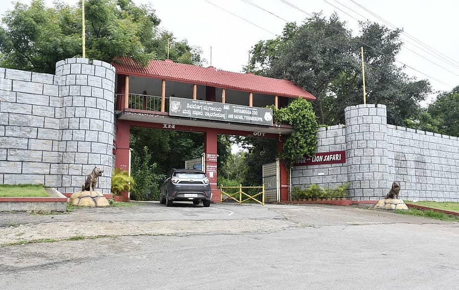 ಶಿವಮೊಗ್ಗ ಸಮೀಪದ ತ್ಯಾವರೆಕೊಪ್ಪದ ಹುಲಿ–ಸಿಂಹಧಾಮದ ಪ್ರವೇಶದ್ವಾರ