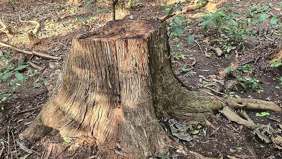 <div class="paragraphs"><p>ಸಾಂದರ್ಭಿಕ ಚಿತ್ರ</p></div>