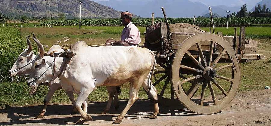 ಎತ್ತಿನಗಾಡಿ